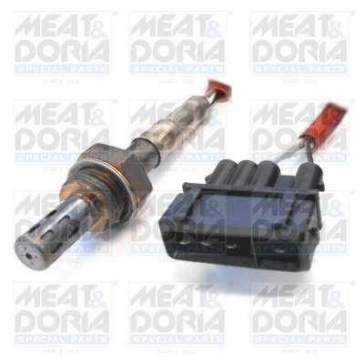 Oxygen Sensor